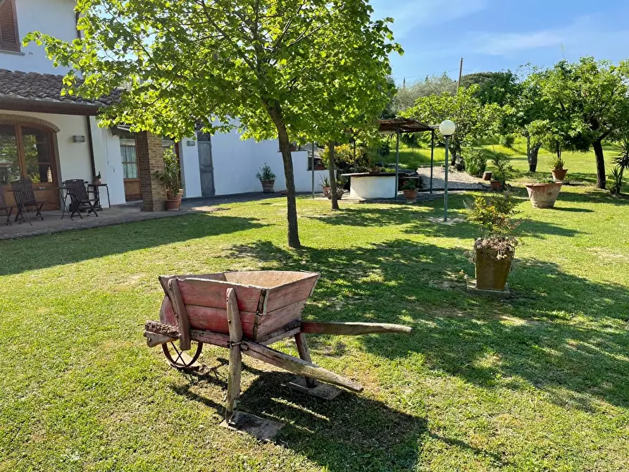 Immagine 6 di Villa in vendita  a San Miniato