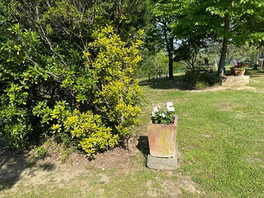 Immagine 61 di Villa in vendita  a San Miniato