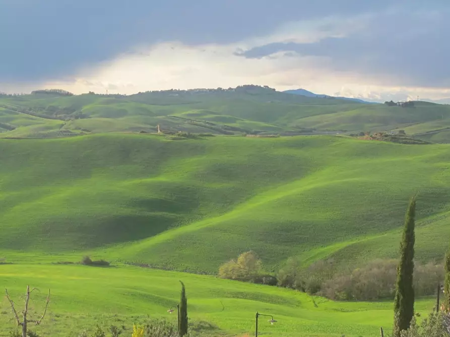 Immagine 1 di Terreno residenziale in vendita  a Terricciola