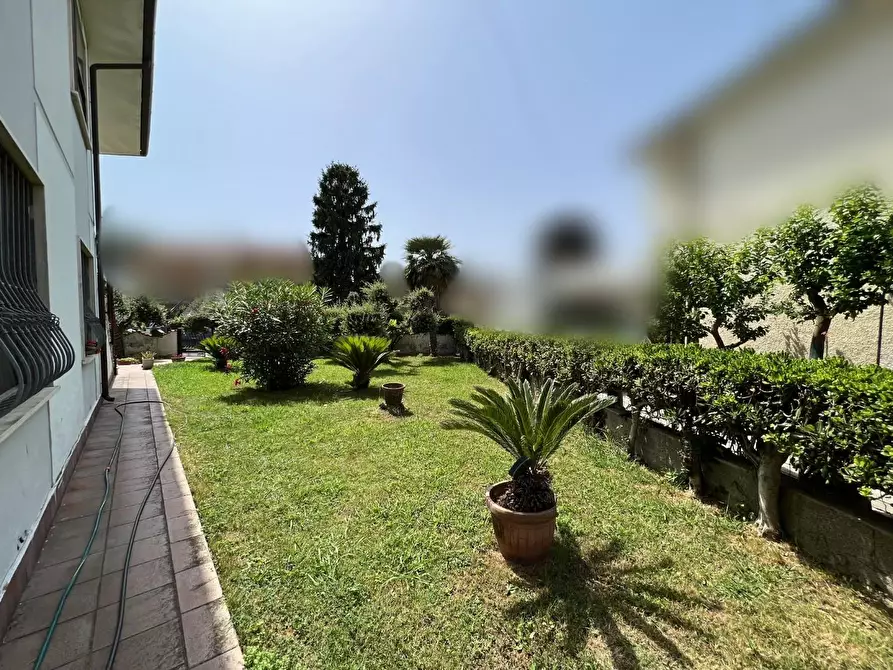 Immagine 16 di Villa in vendita  a Vecchiano