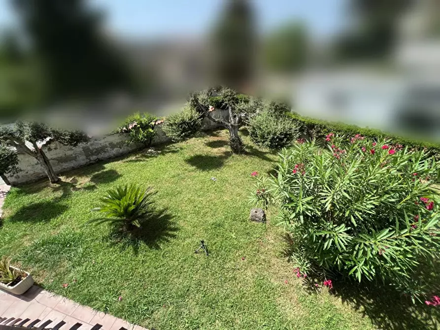 Immagine 19 di Villa in vendita  a Vecchiano