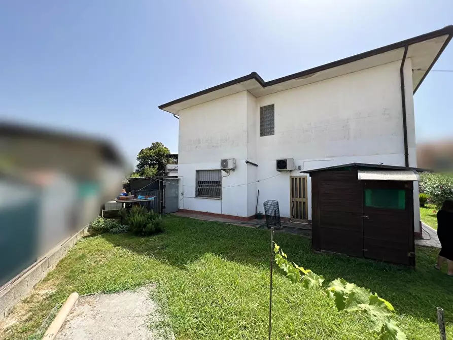 Immagine 17 di Villa in vendita  a Vecchiano