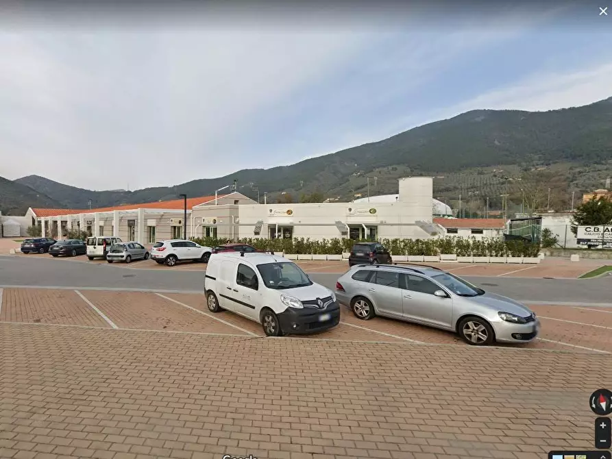 Immagine 3 di Terreno industriale in vendita  a San Giuliano Terme