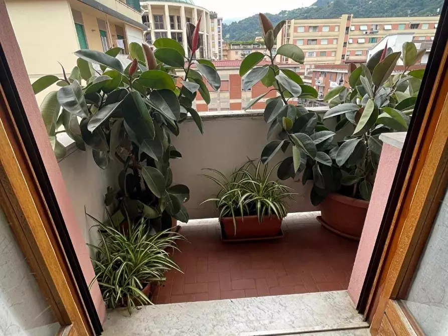 Immagine 20 di Appartamento in vendita  a Massa