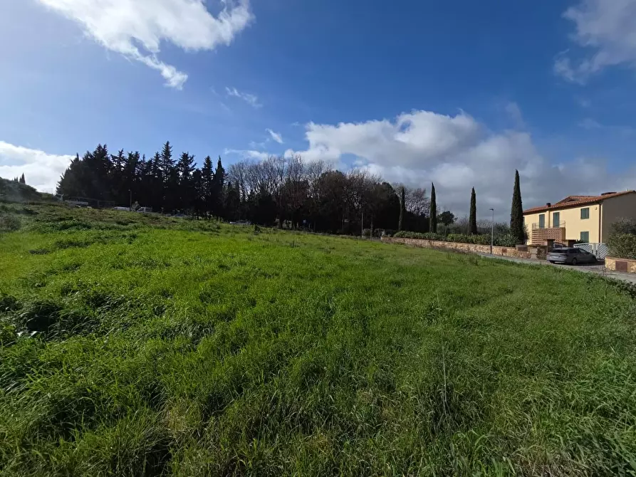 Immagine 11 di Terreno residenziale in vendita  a Casciana Terme Lari