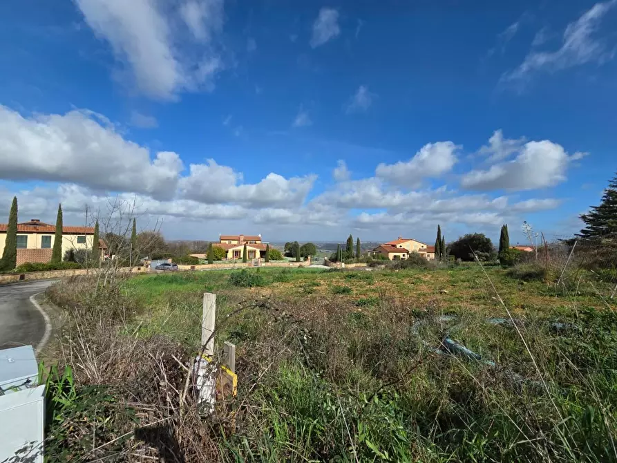 Immagine 4 di Terreno residenziale in vendita  a Casciana Terme Lari