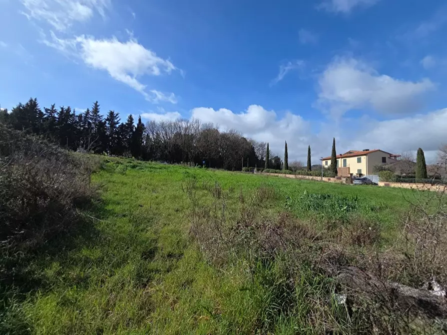 Immagine 7 di Terreno residenziale in vendita  a Casciana Terme Lari