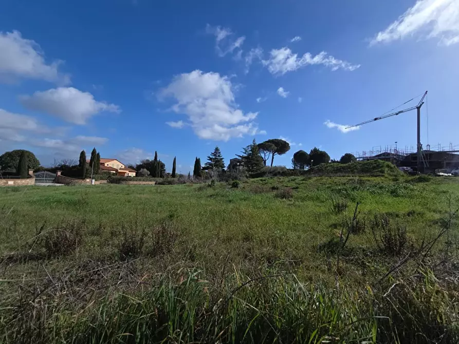 Immagine 5 di Terreno residenziale in vendita  a Casciana Terme Lari