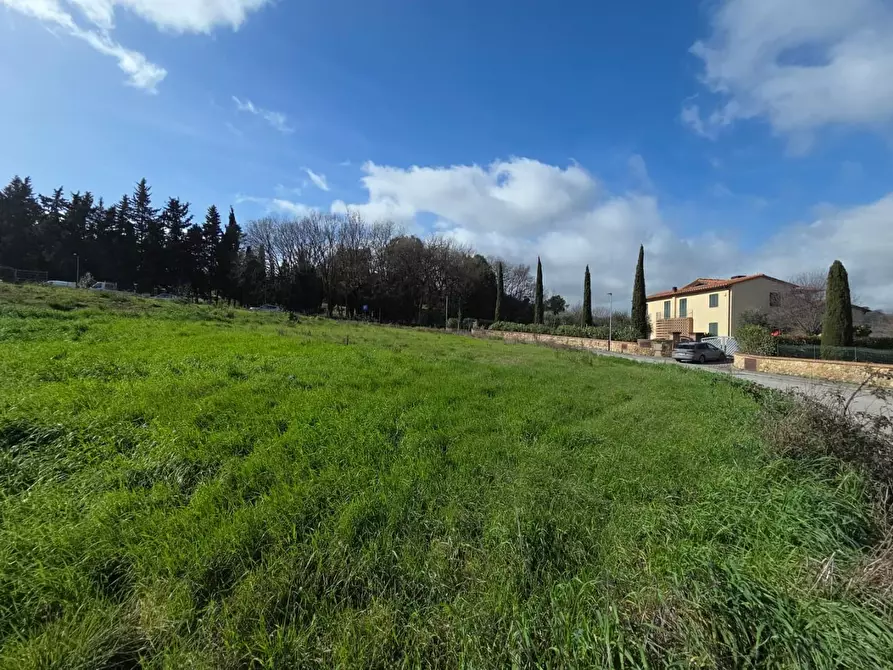Immagine 3 di Terreno residenziale in vendita  a Casciana Terme Lari