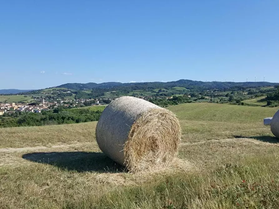 Immagine 17 di Terreno residenziale in vendita  a Casciana Terme Lari