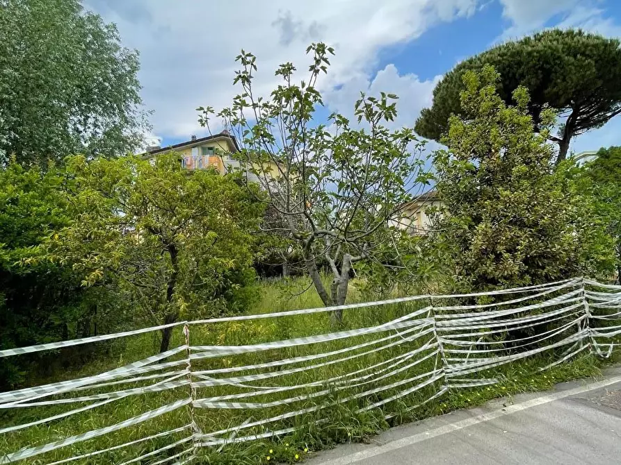 Immagine 2 di Terreno agricolo in vendita  a Lucca