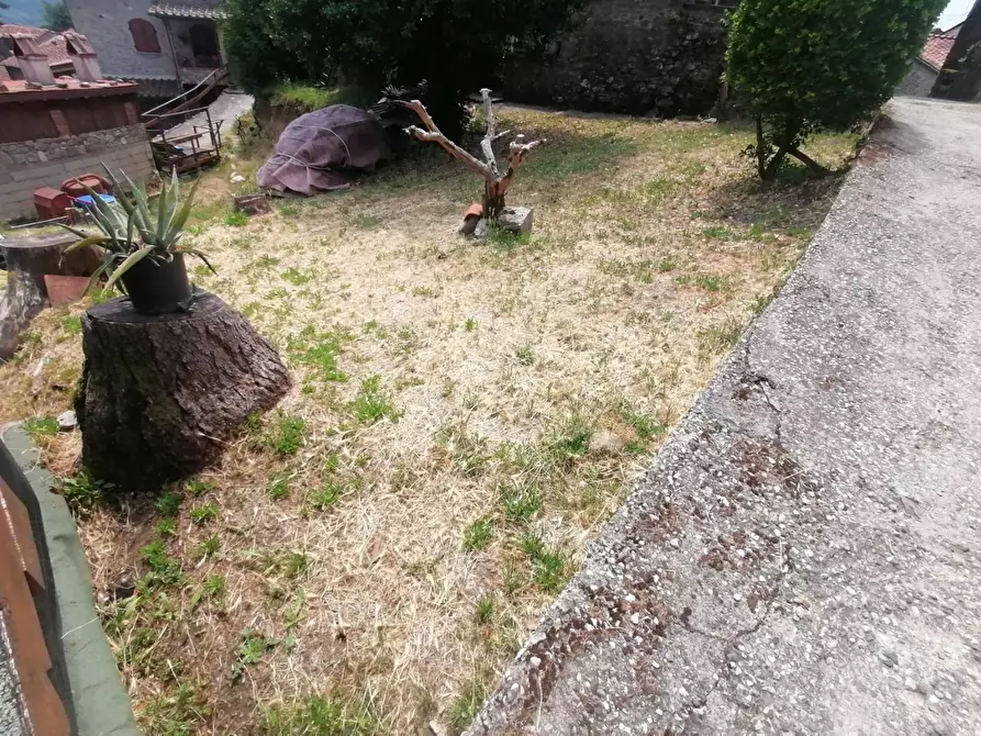 Immagine 39 di Rustico / casale in vendita  a Pescaglia