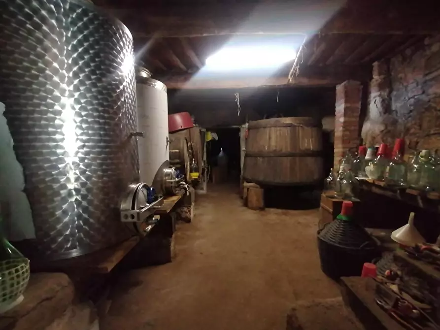 Immagine 38 di Rustico / casale in vendita  a Pescaglia