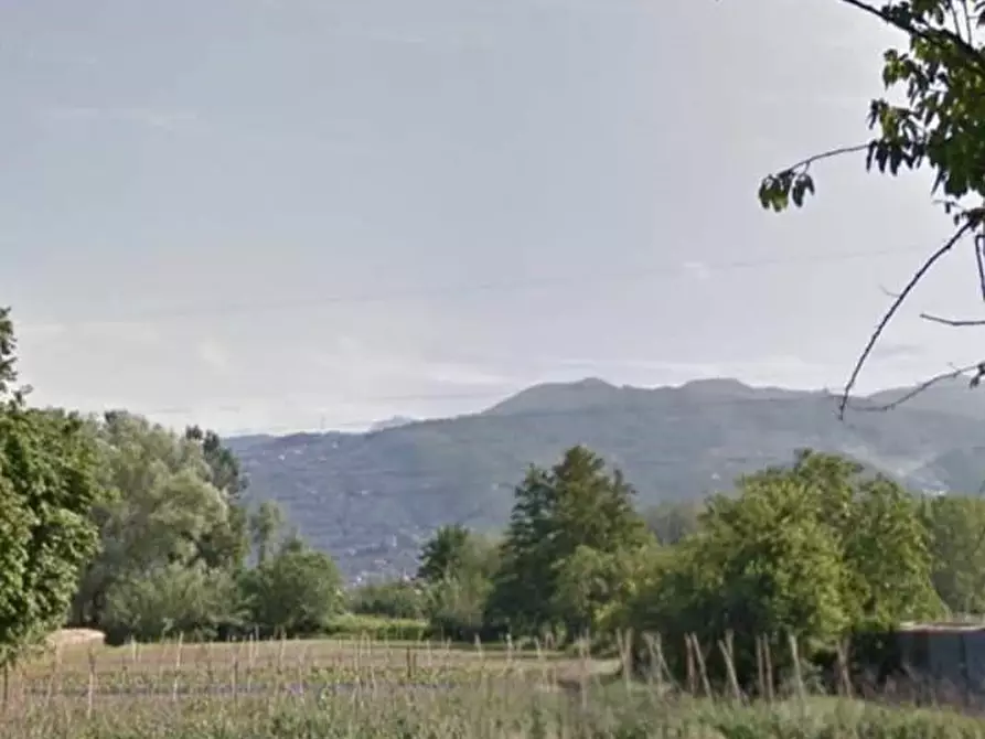 Immagine 1 di Terreno agricolo in vendita  a Pietrasanta