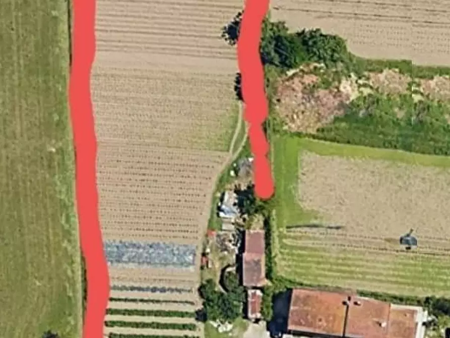 Immagine 3 di Terreno agricolo in vendita  a Pietrasanta