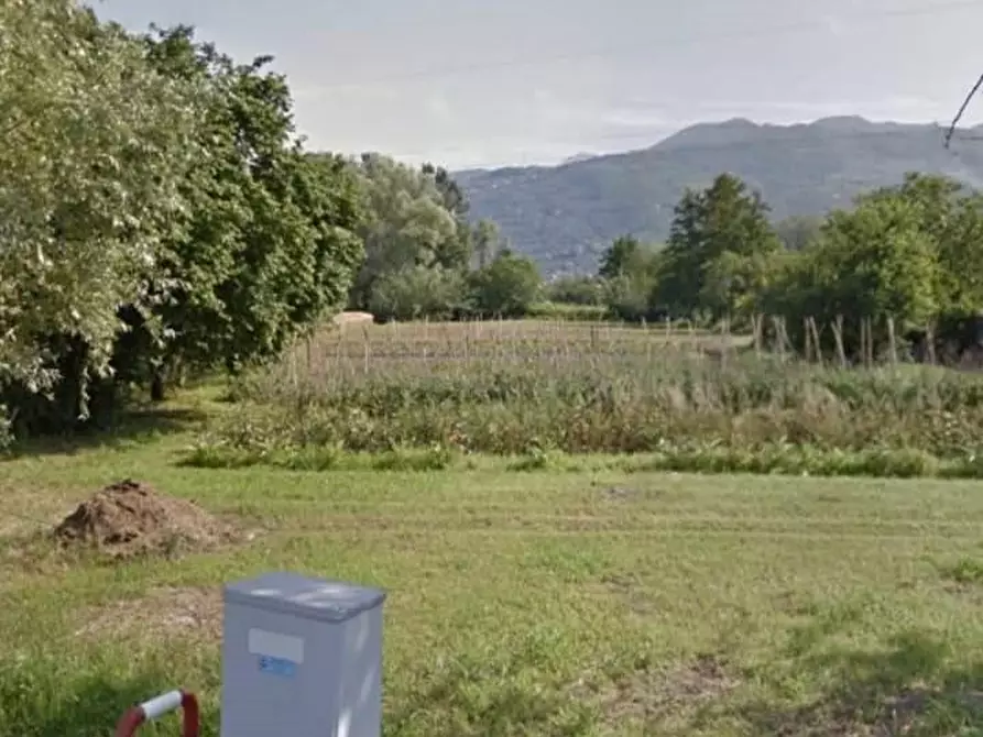 Immagine 2 di Terreno agricolo in vendita  a Pietrasanta