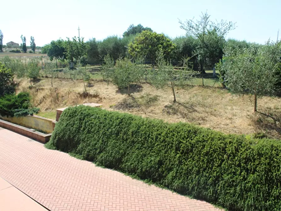 Immagine 18 di Villetta a schiera in vendita  a Crespina Lorenzana