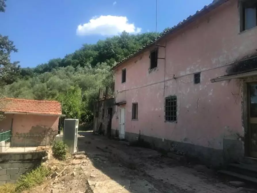 Immagine 1 di Casa colonica in vendita  a Pieve A Nievole