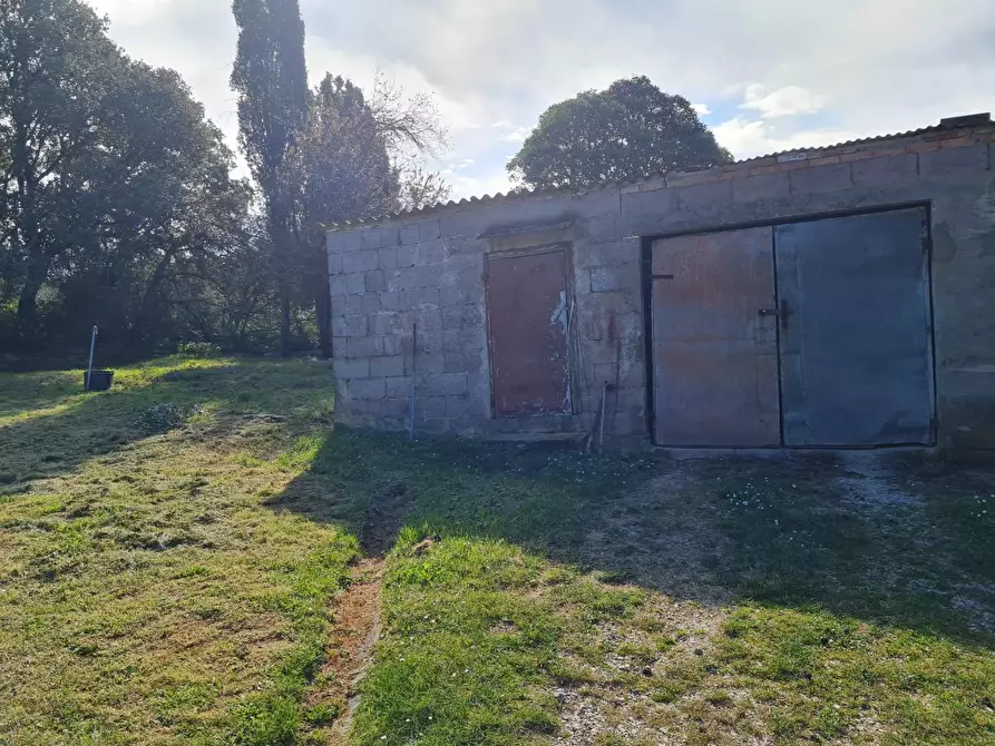 Immagine 28 di Casa indipendente in vendita  a Campiglia Marittima
