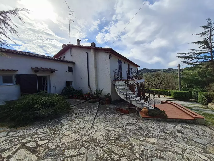 Immagine 3 di Casa indipendente in vendita  a Campiglia Marittima