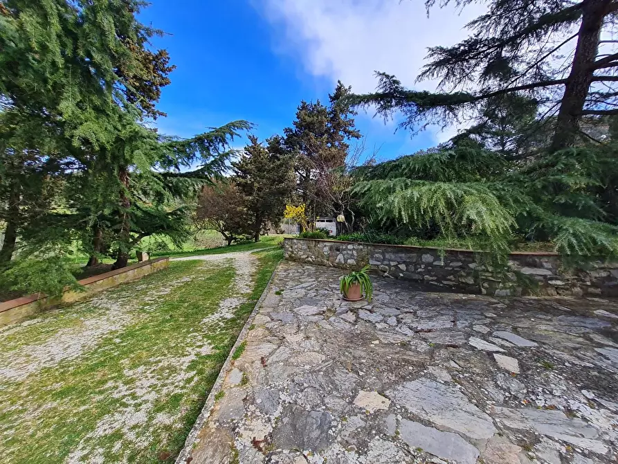 Immagine 5 di Casa indipendente in vendita  a Campiglia Marittima