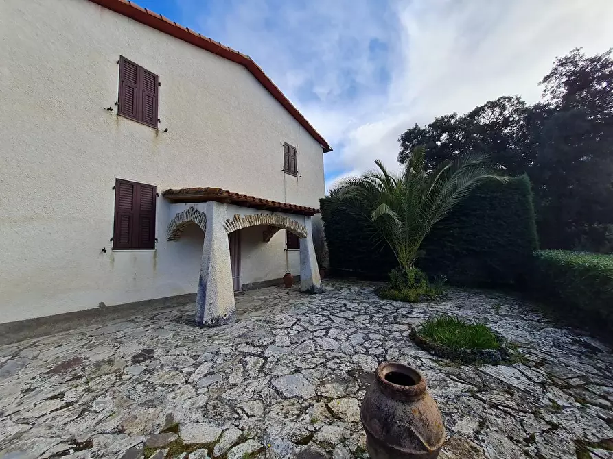 Immagine 18 di Casa indipendente in vendita  a Campiglia Marittima