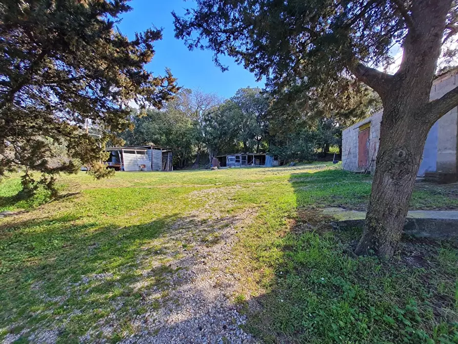 Immagine 25 di Casa indipendente in vendita  a Campiglia Marittima