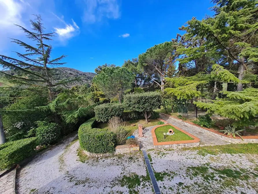 Immagine 6 di Casa indipendente in vendita  a Campiglia Marittima