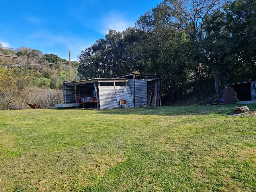 Immagine 26 di Casa indipendente in vendita  a Campiglia Marittima