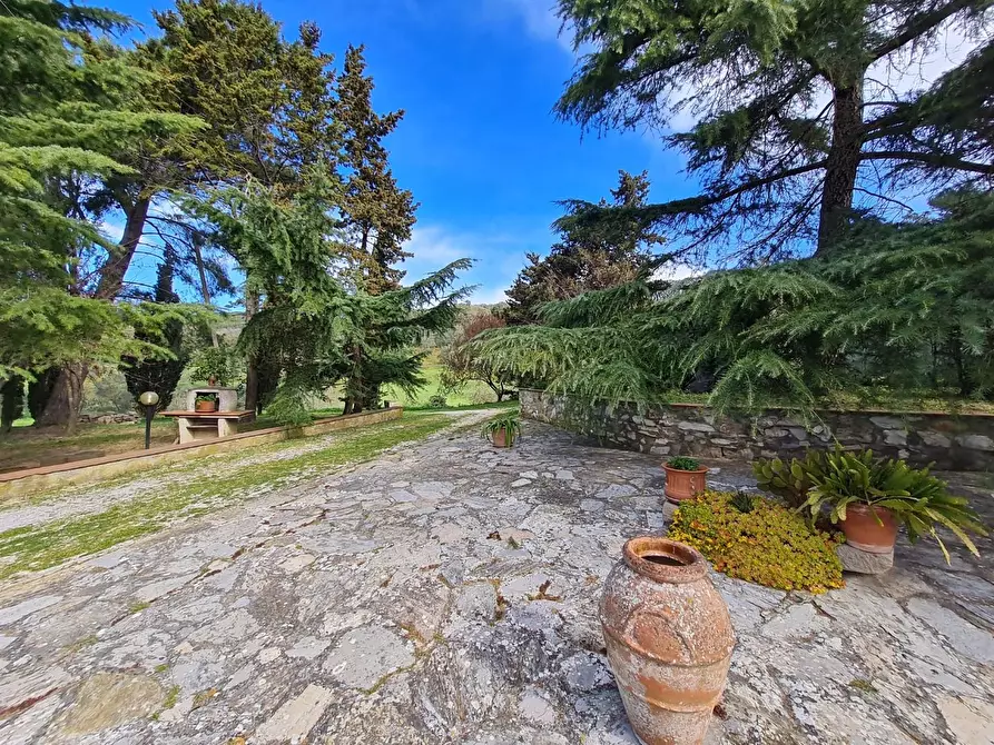 Immagine 2 di Casa indipendente in vendita  a Campiglia Marittima