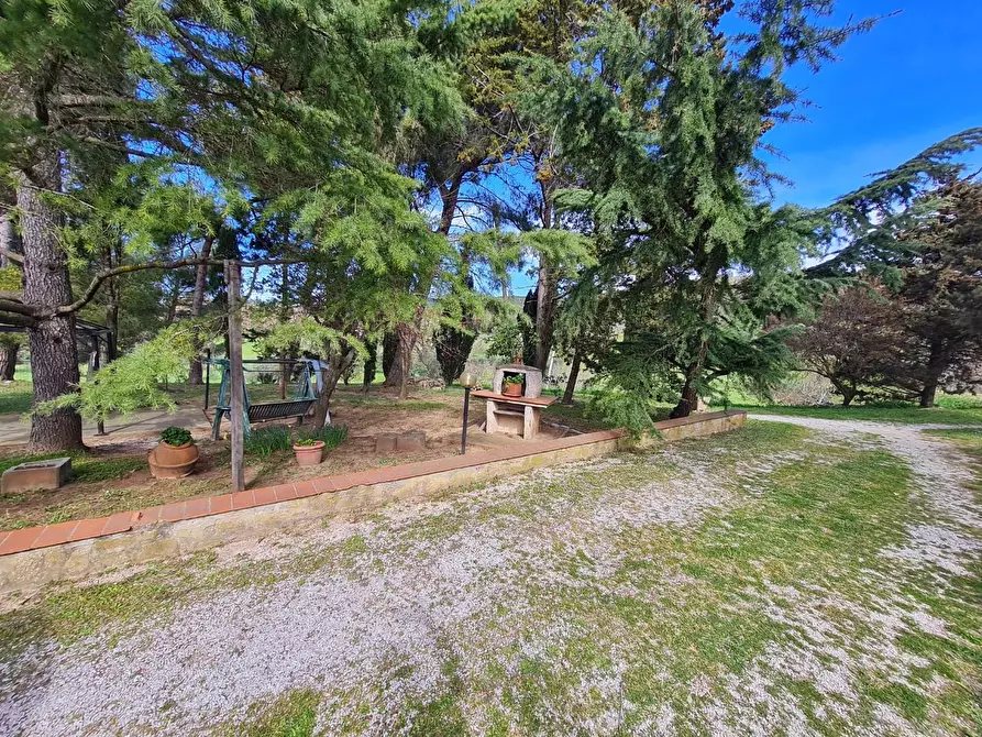 Immagine 4 di Casa indipendente in vendita  a Campiglia Marittima