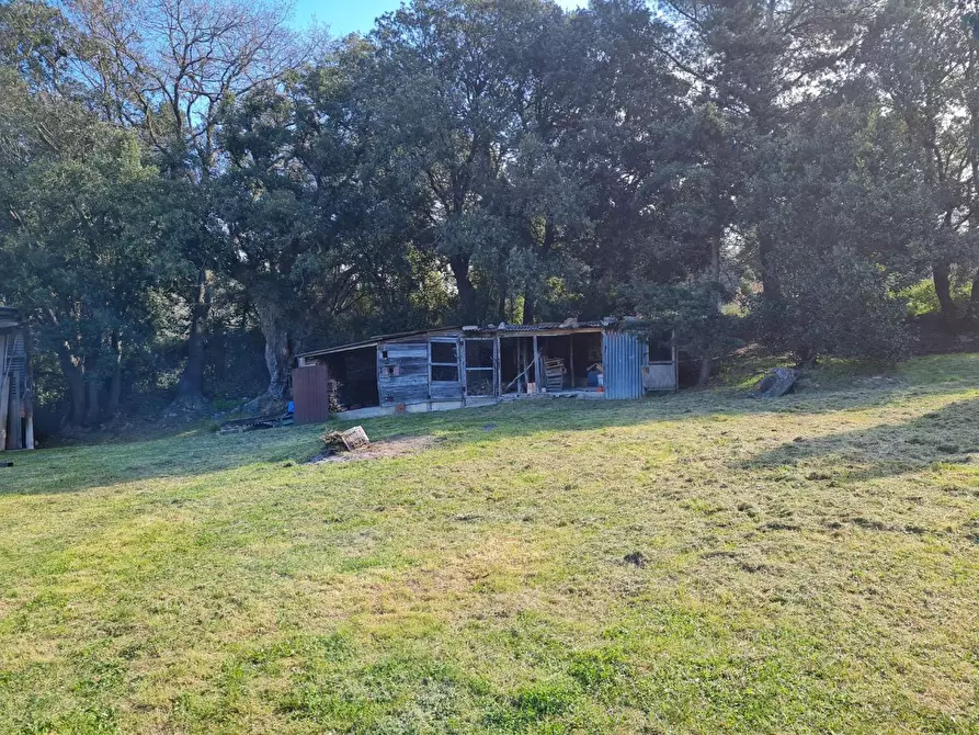 Immagine 27 di Casa indipendente in vendita  a Campiglia Marittima