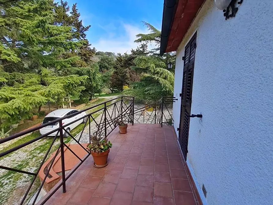 Immagine 16 di Casa indipendente in vendita  a Campiglia Marittima