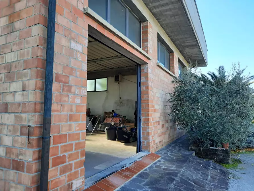 Immagine 4 di Attività artigianale in vendita  a Cerreto Guidi