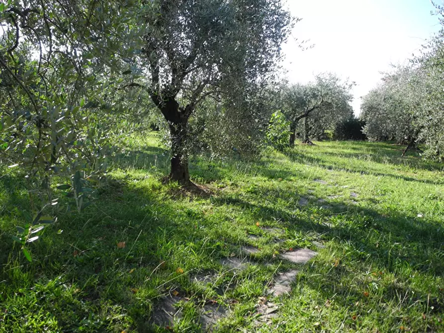 Immagine 2 di Attività artigianale in vendita  a Cerreto Guidi