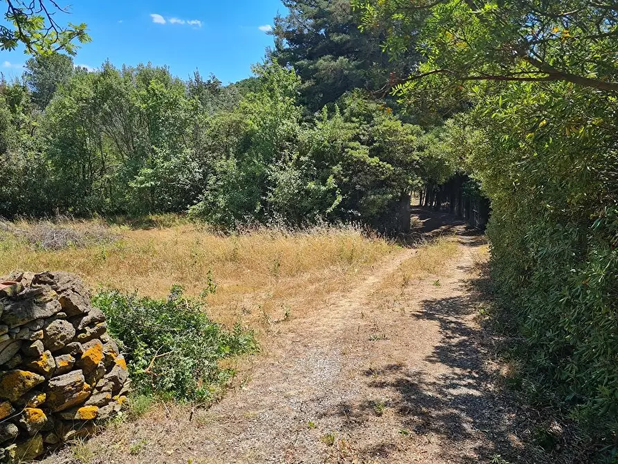 Immagine 4 di Casa indipendente in vendita  a Campiglia Marittima