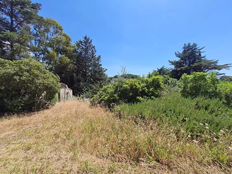 Immagine 10 di Casa indipendente in vendita  a Campiglia Marittima