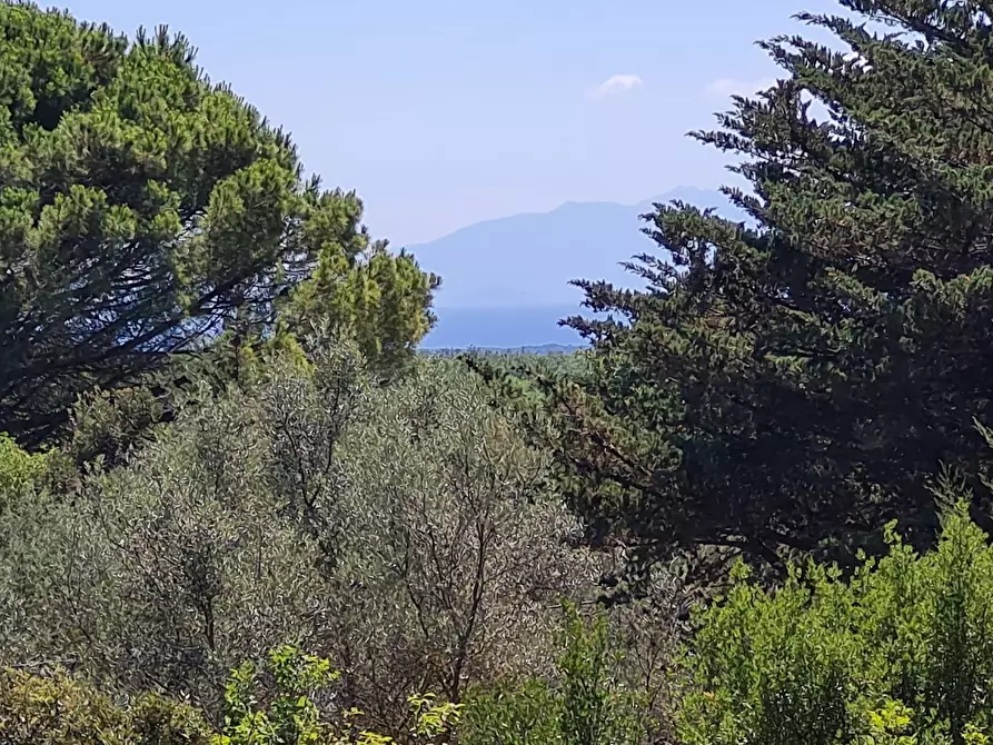 Immagine 36 di Casa indipendente in vendita  a Campiglia Marittima