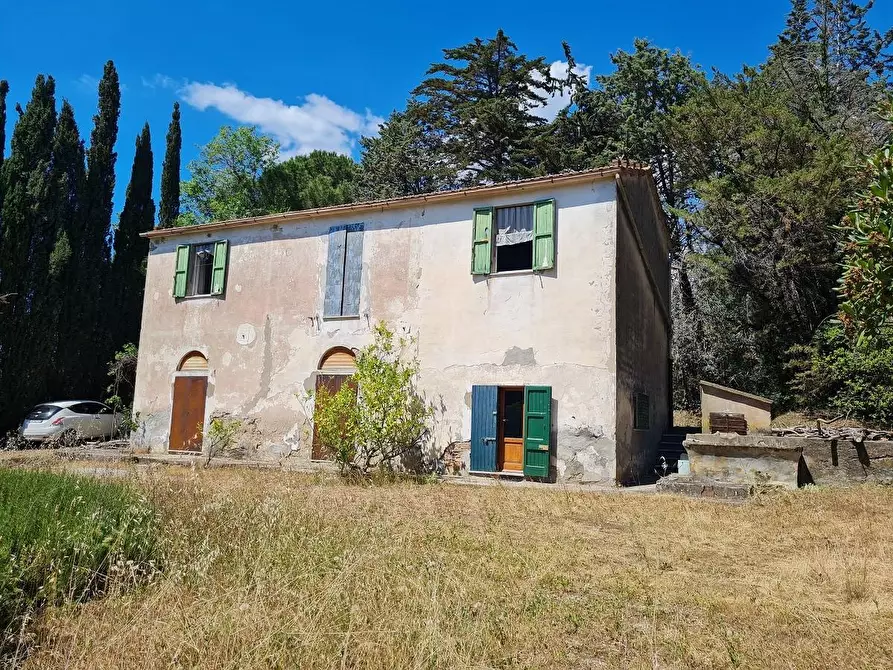 Immagine 1 di Casa indipendente in vendita  a Campiglia Marittima