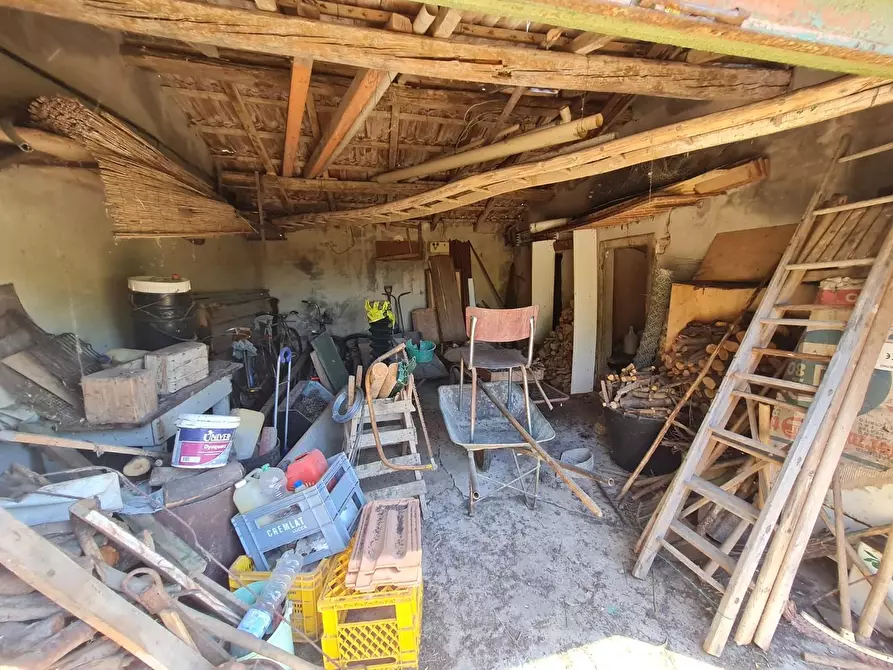 Immagine 24 di Casa indipendente in vendita  a Campiglia Marittima