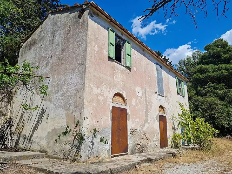 Immagine 5 di Casa indipendente in vendita  a Campiglia Marittima