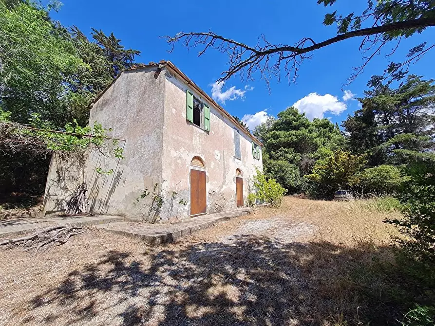 Immagine 3 di Casa indipendente in vendita  a Campiglia Marittima