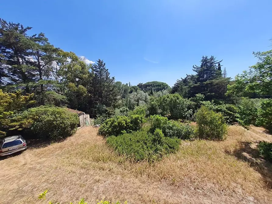 Immagine 12 di Casa indipendente in vendita  a Campiglia Marittima