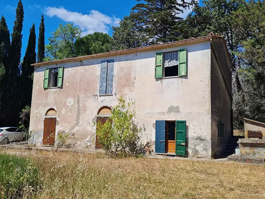 Immagine 6 di Casa indipendente in vendita  a Campiglia Marittima