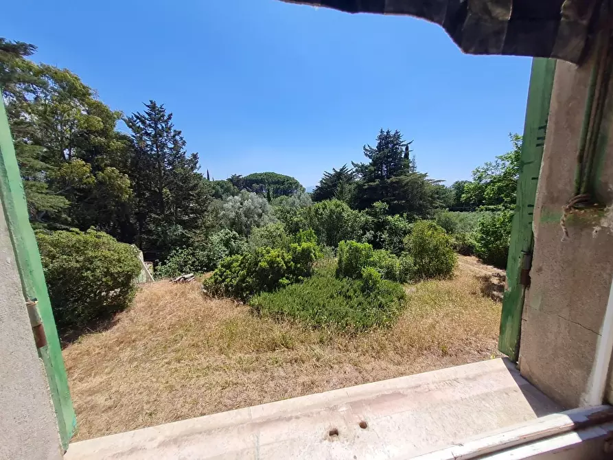 Immagine 2 di Casa indipendente in vendita  a Campiglia Marittima