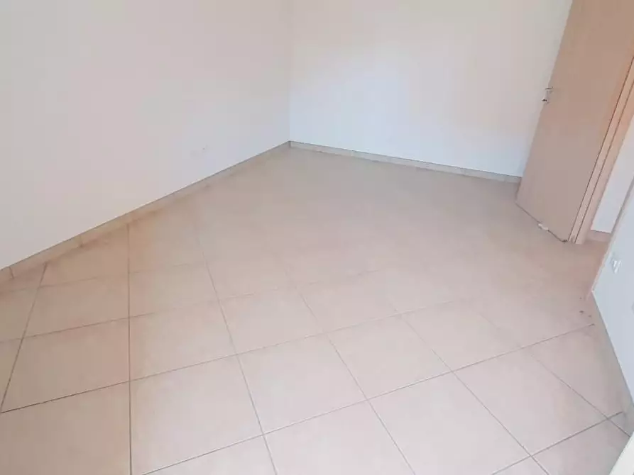 Immagine 14 di Appartamento in vendita  a Rosignano Marittimo