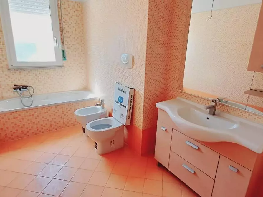 Immagine 13 di Appartamento in vendita  a Rosignano Marittimo