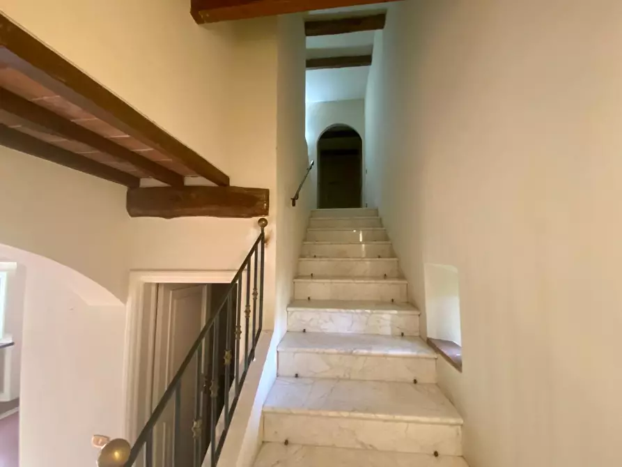 Immagine 10 di Villa in affitto  a Lucca