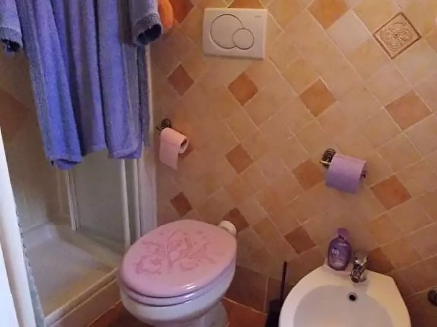 Immagine 11 di Appartamento in vendita  a Rosignano Marittimo