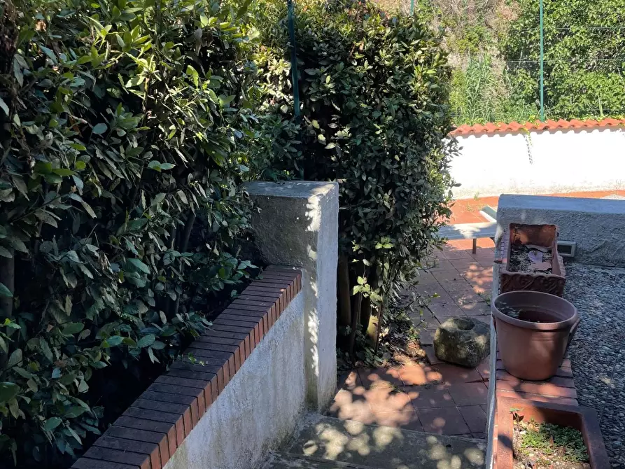 Immagine 22 di Villa in vendita  a Calci